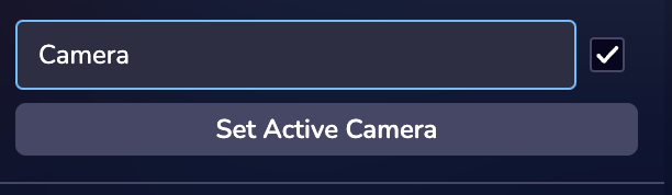 CameraSetActive